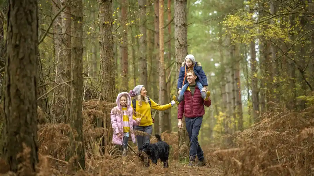 A family of five walks through a forest path surrounded by tall trees and autumn foliage. Two children are on the father's shoulders, while another child and a woman are beside him. A black dog accompanies them. Everyone is dressed warmly in colourful jackets.