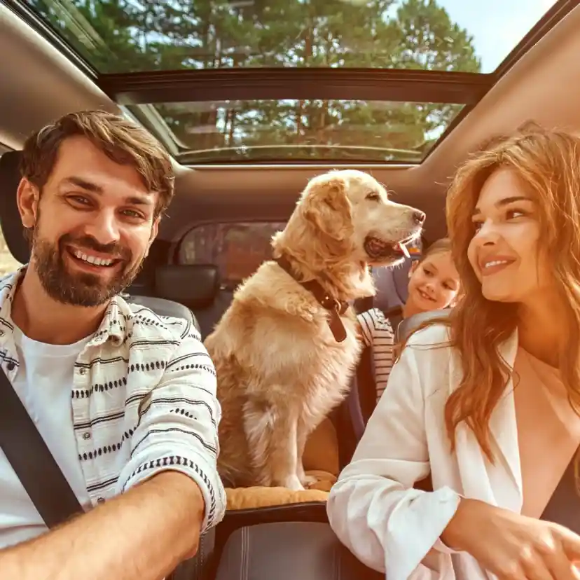 A happy family is in a car, smiling at each other. A golden retriever sits in the back seat, and a young girl peeks from behind the dog. Sunlight filters through the car's sunroof, illuminating the scene.