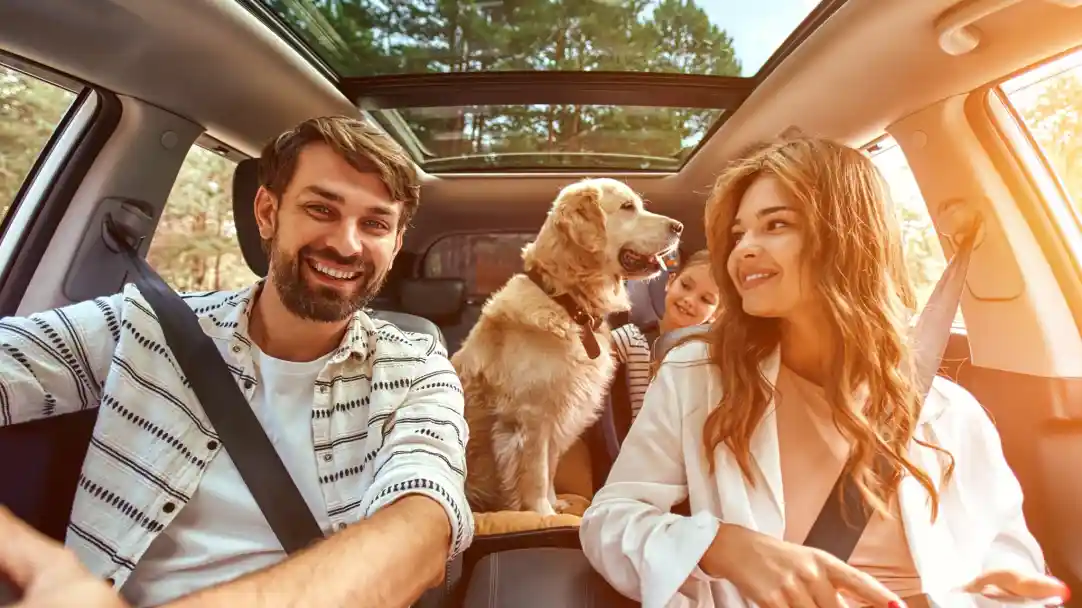 A happy family is in a car, smiling at each other. A golden retriever sits in the back seat, and a young girl peeks from behind the dog. Sunlight filters through the car's sunroof, illuminating the scene.