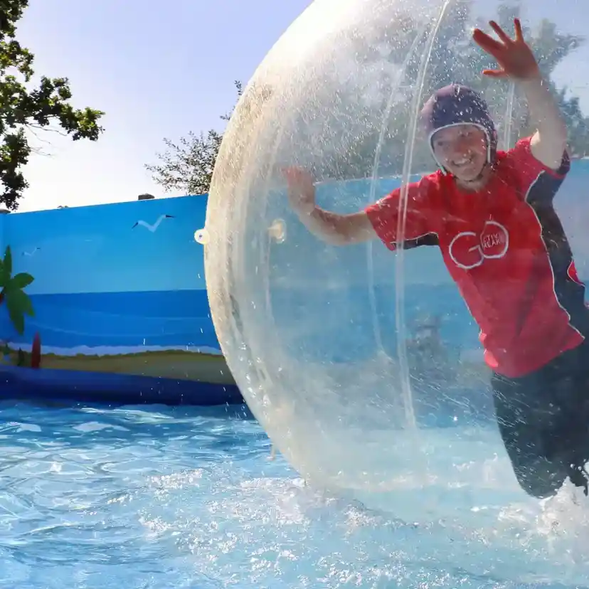 A person in a red shirt is joyfully rolling inside a transparent inflatable ball while floating in a pool. Surrounding scenery includes palm trees and a blue sky.