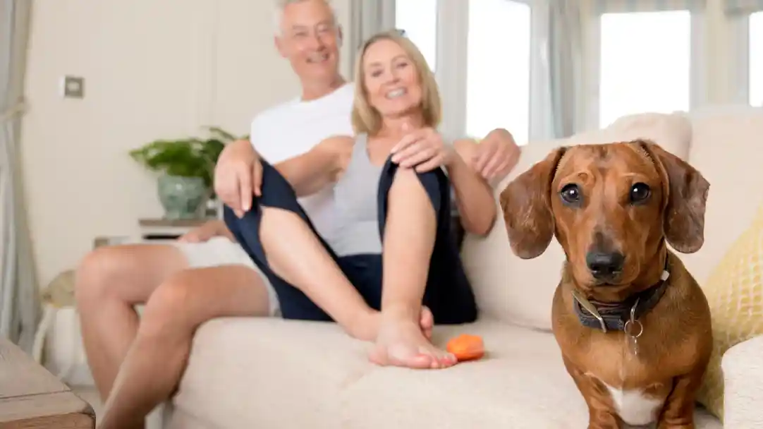A smiling couple sits on a couch with their legs intertwined, while a brown dog with floppy ears looks towards the camera, sitting in the foreground. Soft natural light brightens the interior space.