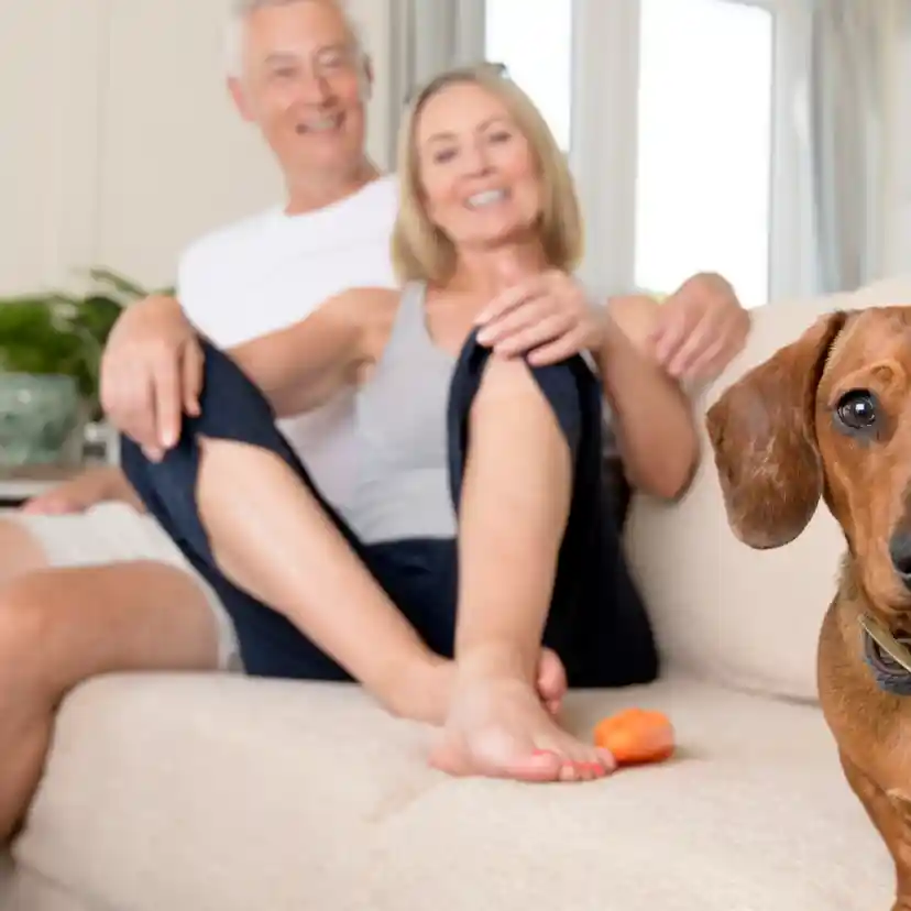 A smiling couple sits on a couch with their legs intertwined, while a brown dog with floppy ears looks towards the camera, sitting in the foreground. Soft natural light brightens the interior space.