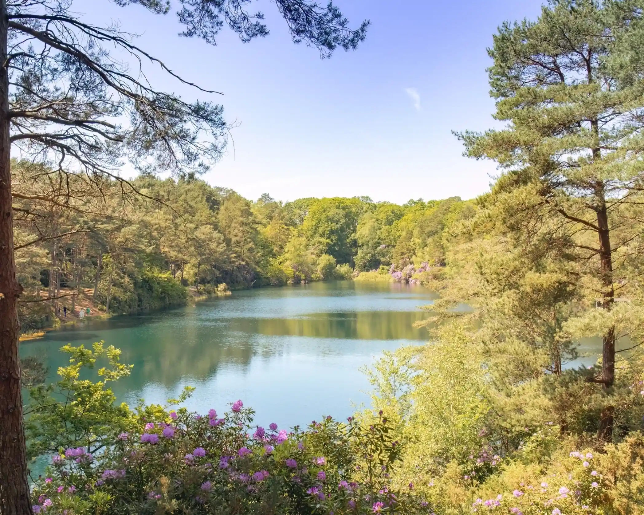 A serene landscape featuring a calm lake surrounded by lush green trees and colorful blooming flowers. The clear blue sky reflects on the water's surface, creating a picturesque natural scene.