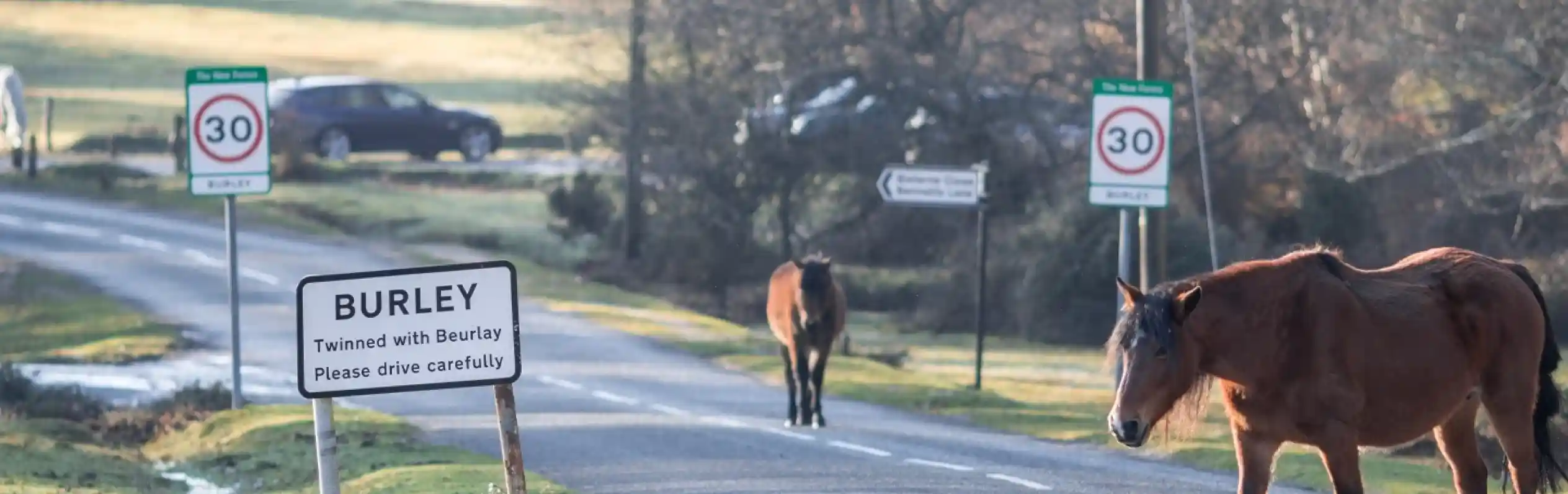 A horse crosses a rural road near a sign indicating the village of Burley. Speed limit signs of 30 mph are visible, along with other signs advising caution. Trees and a car are seen in the background.
