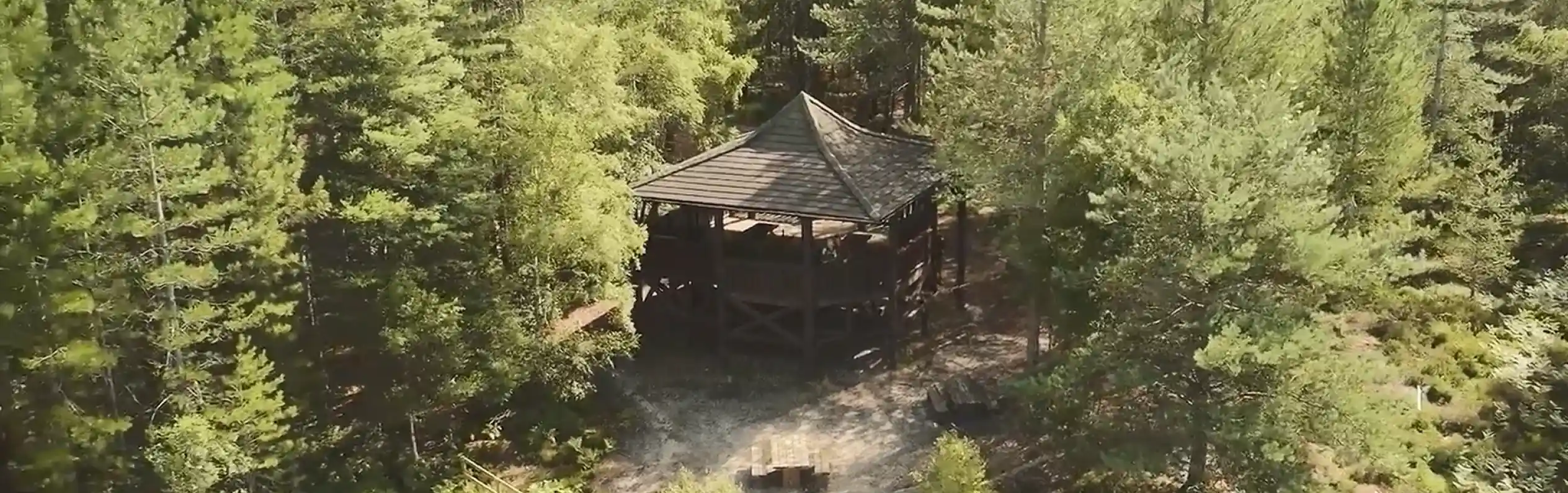 A wooden gazebo nestled among dense green trees in a forested area, surrounded by lush foliage and a gravel pathway.