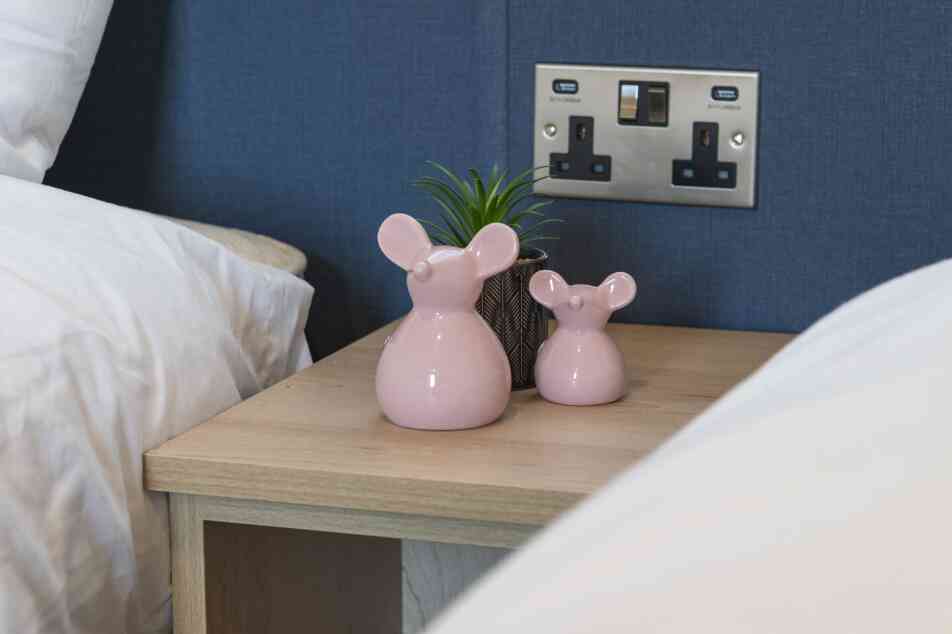 Twin beds with a nightstand between it, featuring a pink mouse ornaments, plant and electric sockets