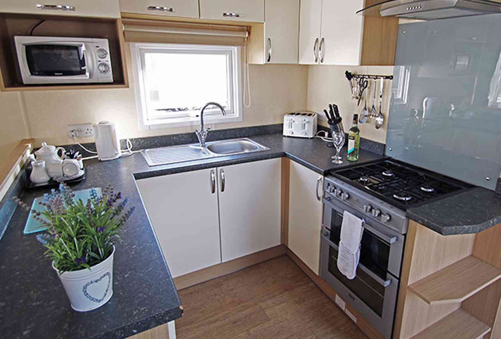 A modern kitchen featuring white cabinets, a dark countertop, and stainless steel appliances. A sink is situated beside a window, with a microwave and toaster on the counter. A potted plant decorates the space near the stove.