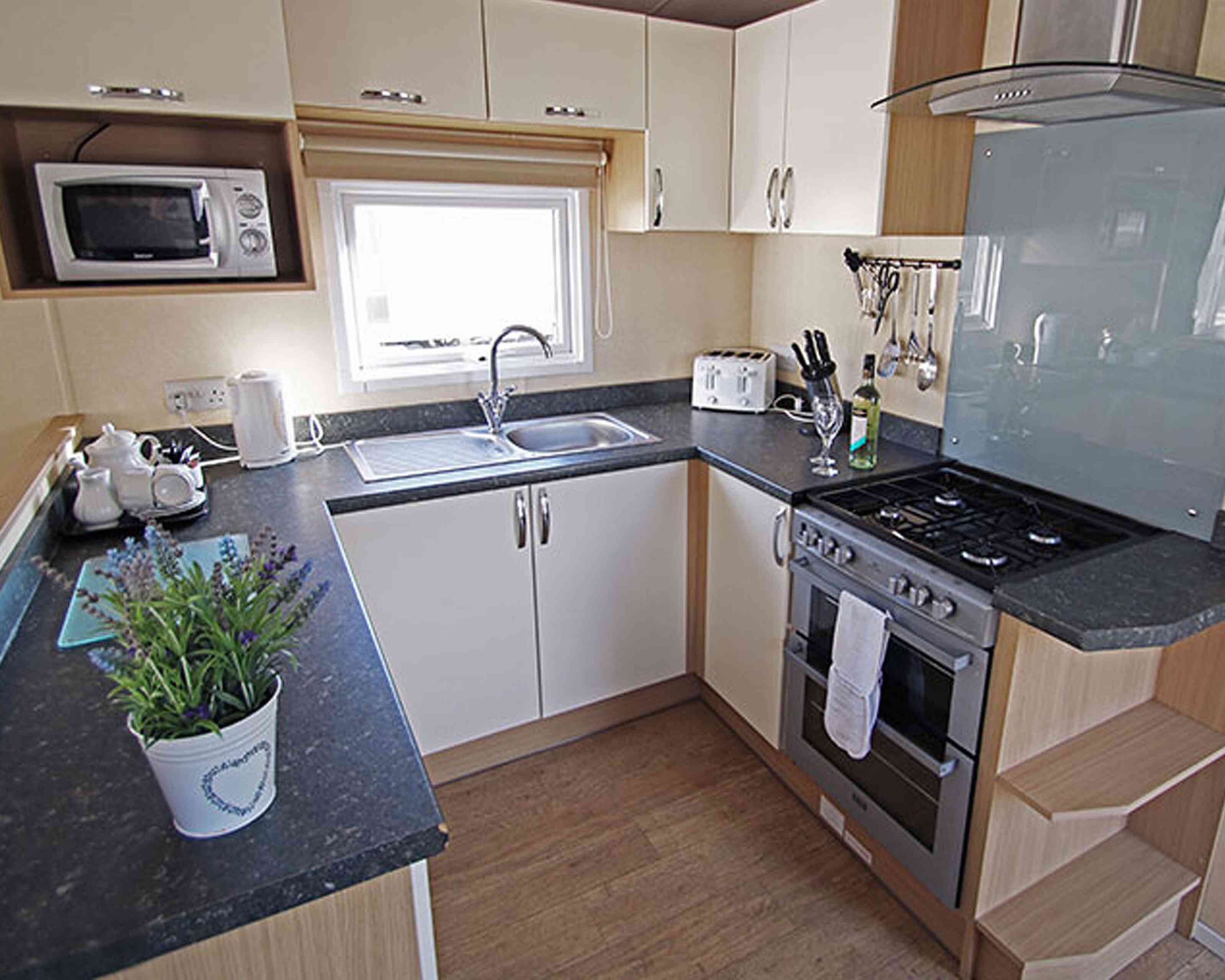 A modern kitchen featuring white cabinets, a dark countertop, and stainless steel appliances. A sink is situated beside a window, with a microwave and toaster on the counter. A potted plant decorates the space near the stove.
