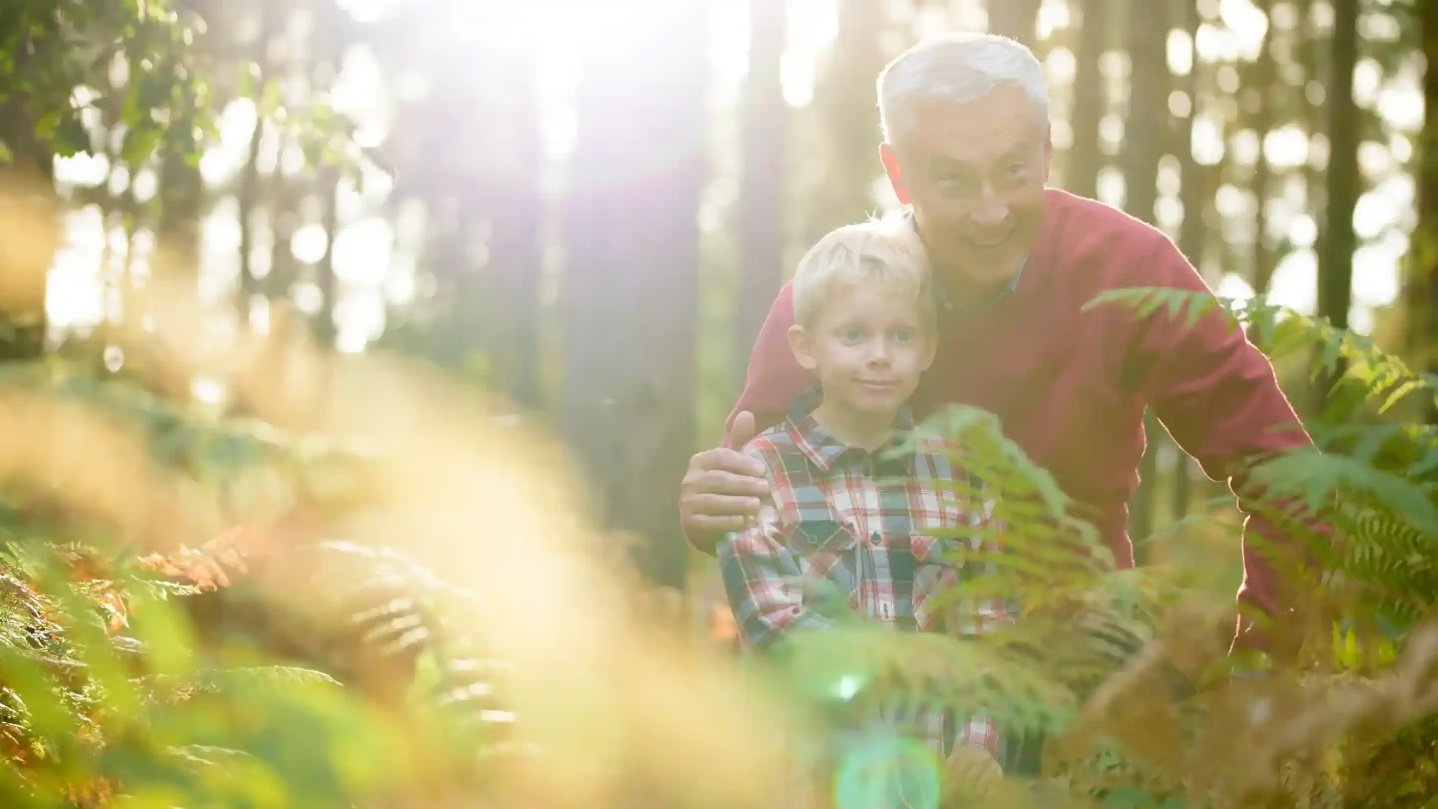 An elderly man and a young boy stand together in a sunlit forest, surrounded by ferns. The man has gray hair and wears a red sweater, while the boy, in a plaid shirt, looks up with a smile.
