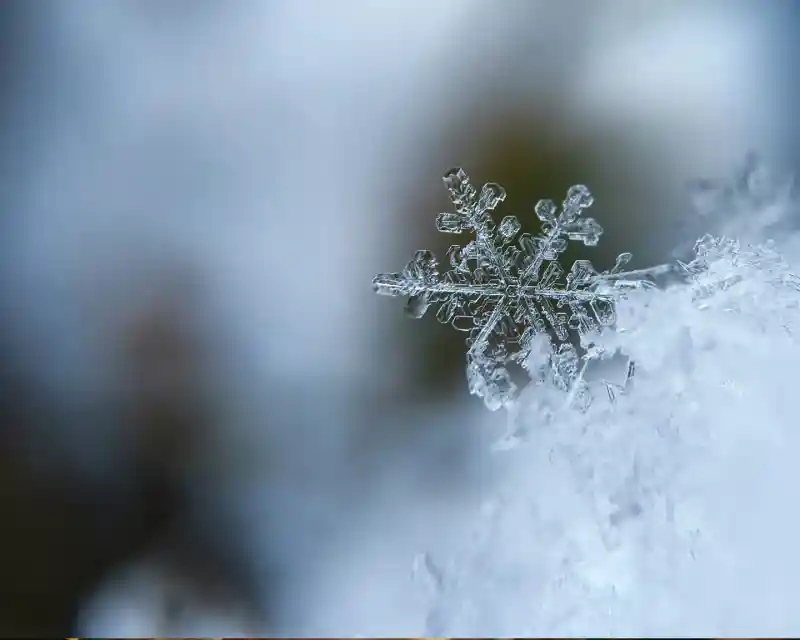 A close-up of a delicate snowflake resting on a layer of soft snow, showcasing intricate patterns and a blurred, wintry background.