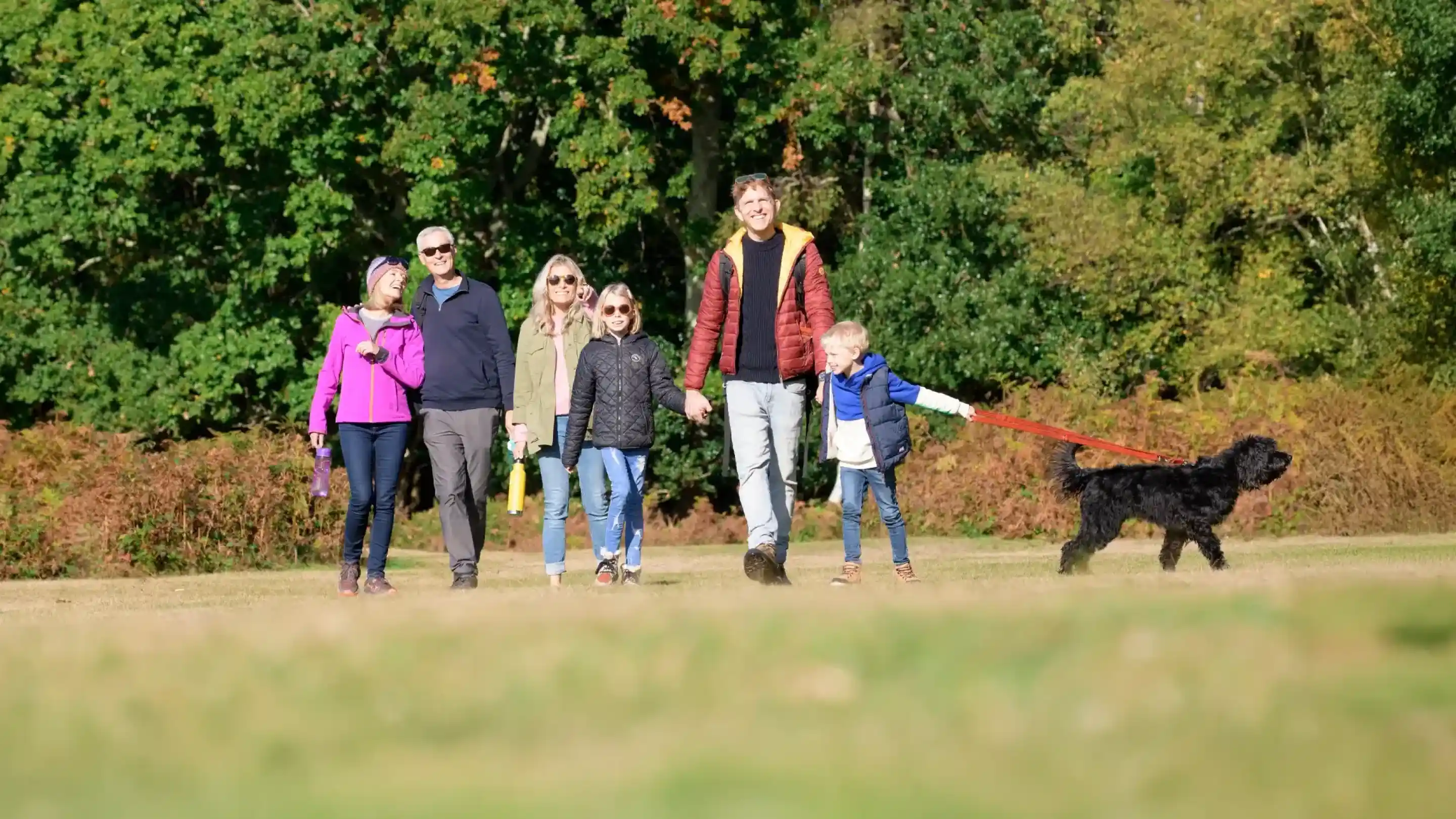 A group of six people walk together in a park, enjoying a sunny day. One person is holding a leash attached to a dog. They are dressed in casual clothing and smiling, surrounded by greenery and trees.