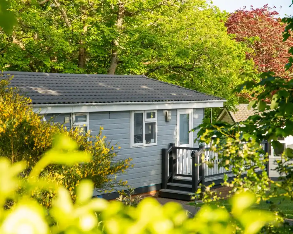 A small, modern grey lodge with a porch surrounded by lush green trees and foliage. The sun is shining, creating a bright and inviting atmosphere.