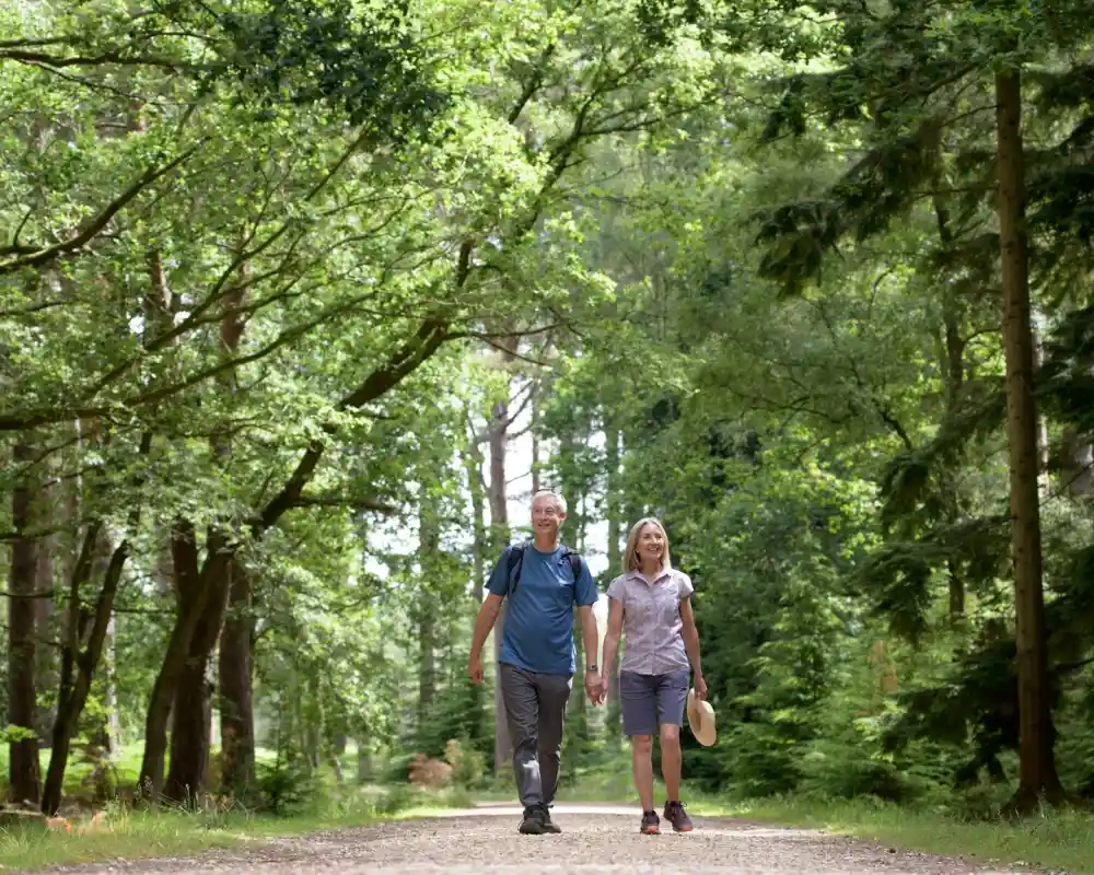 A couple walking hand in hand along a scenic forest trail. The man, wearing a blue t-shirt, gray shorts, and a backpack, smiles as he walks beside the woman, who wears a light gray shirt, khaki shorts, and holds a straw hat. The path is lined with tall trees, creating a lush, green canopy overhead. The peaceful forest setting is bathed in soft sunlight, making it a serene and relaxed moment for the couple.