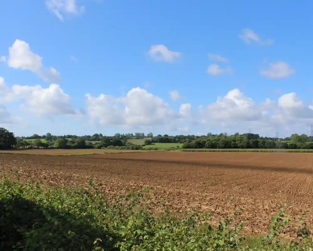 A wide, open field with freshly plowed soil stretches across the foreground, under a bright blue sky with scattered clouds. In the background, rolling hills are dotted with trees, and power lines can be seen in the distance. The scene conveys a peaceful rural landscape.
