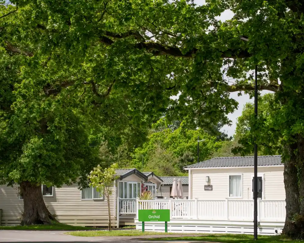 A peaceful holiday park featuring two mobile homes nestled under large trees, with a sign reading "Orchid" in front.