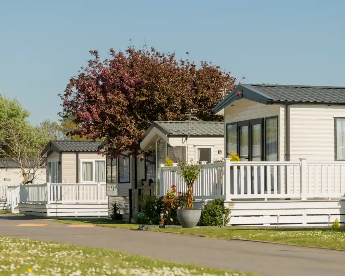 Three static caravans are lined up along a pathway, surrounded by green grass and flowering plants. A large tree with pink blossoms stands nearby, set against a clear blue sky.