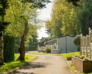 A peaceful pathway lined with trees leads to several cozy holiday cabins, bathed in sunlight. Lush greenery surrounds the area, creating a serene atmosphere.