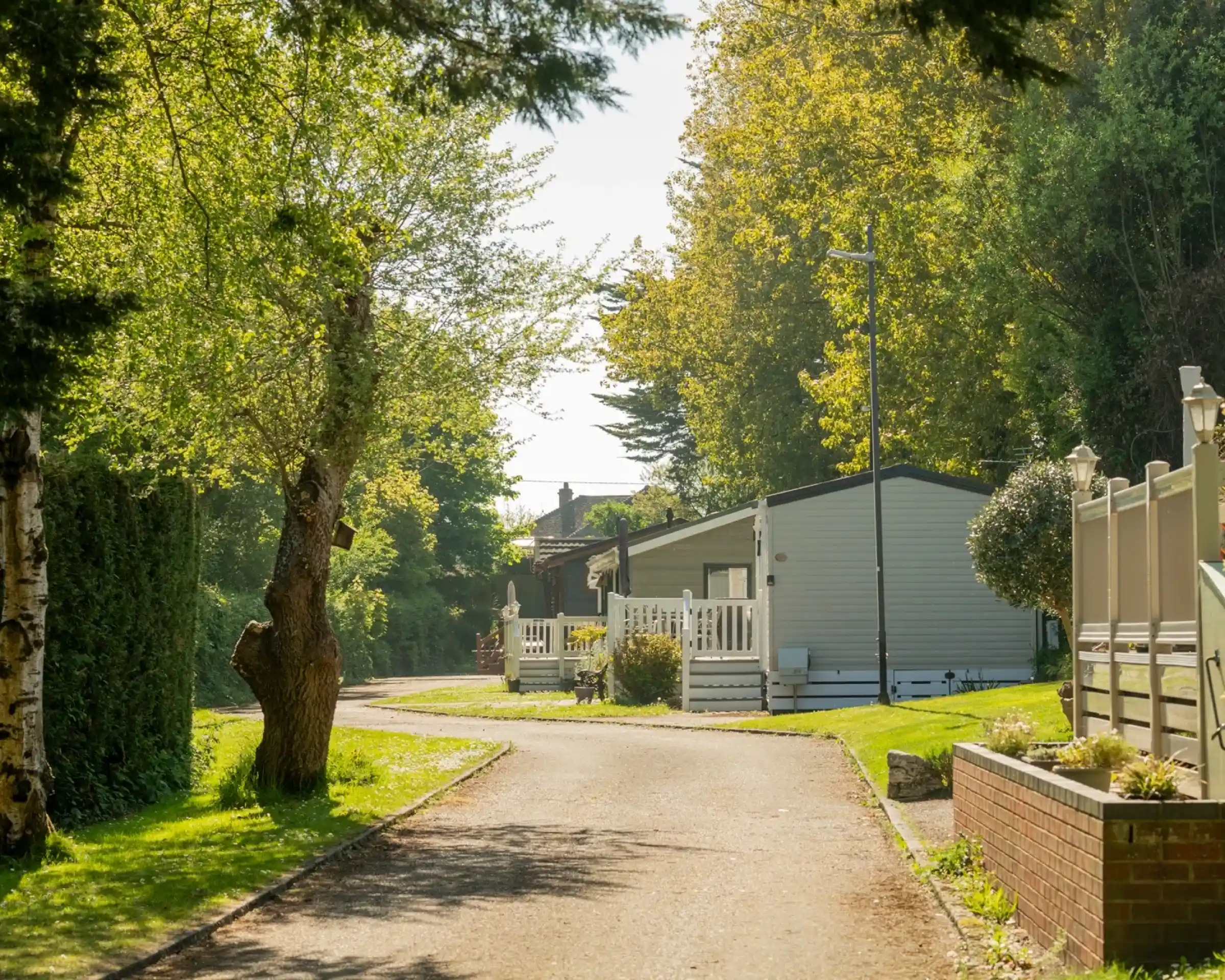 A peaceful pathway lined with trees leads to several cozy holiday cabins, bathed in sunlight. Lush greenery surrounds the area, creating a serene atmosphere.