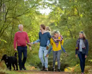 A cheerful family walks together on a forest path, with two adults carrying children on their backs. A black dog accompanies them. The scene is surrounded by lush green trees, creating a warm, autumnal atmosphere.