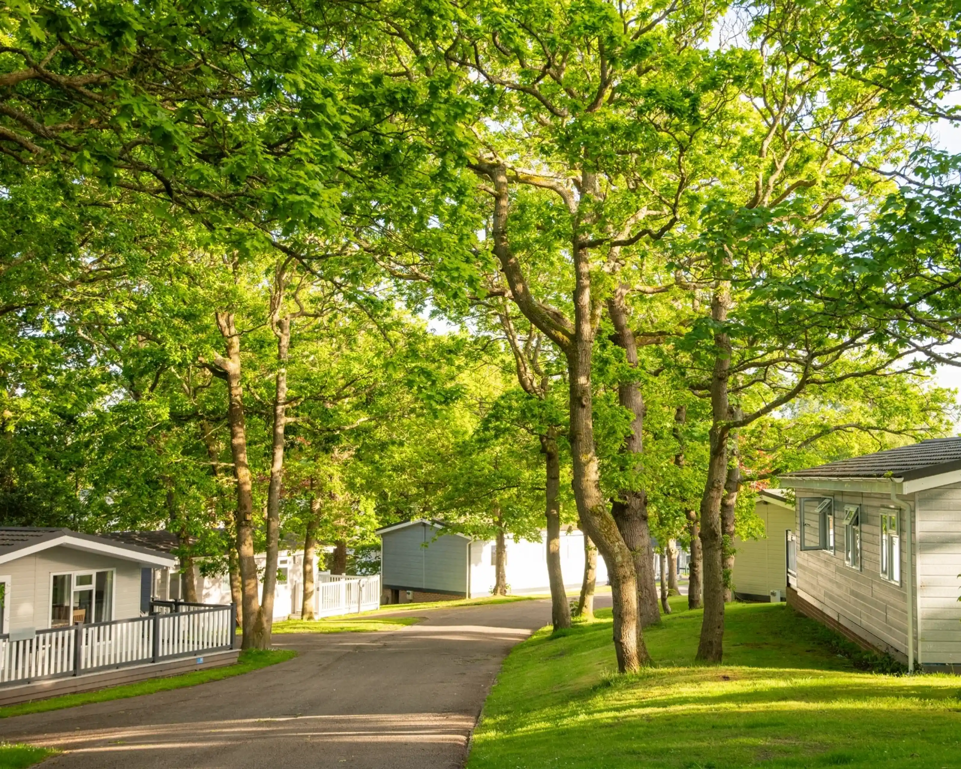 A quiet, tree-lined path through a residential area, featuring several small homes or cabins. Lush green foliage provides a canopy overhead, with sunlight filtering through the trees.