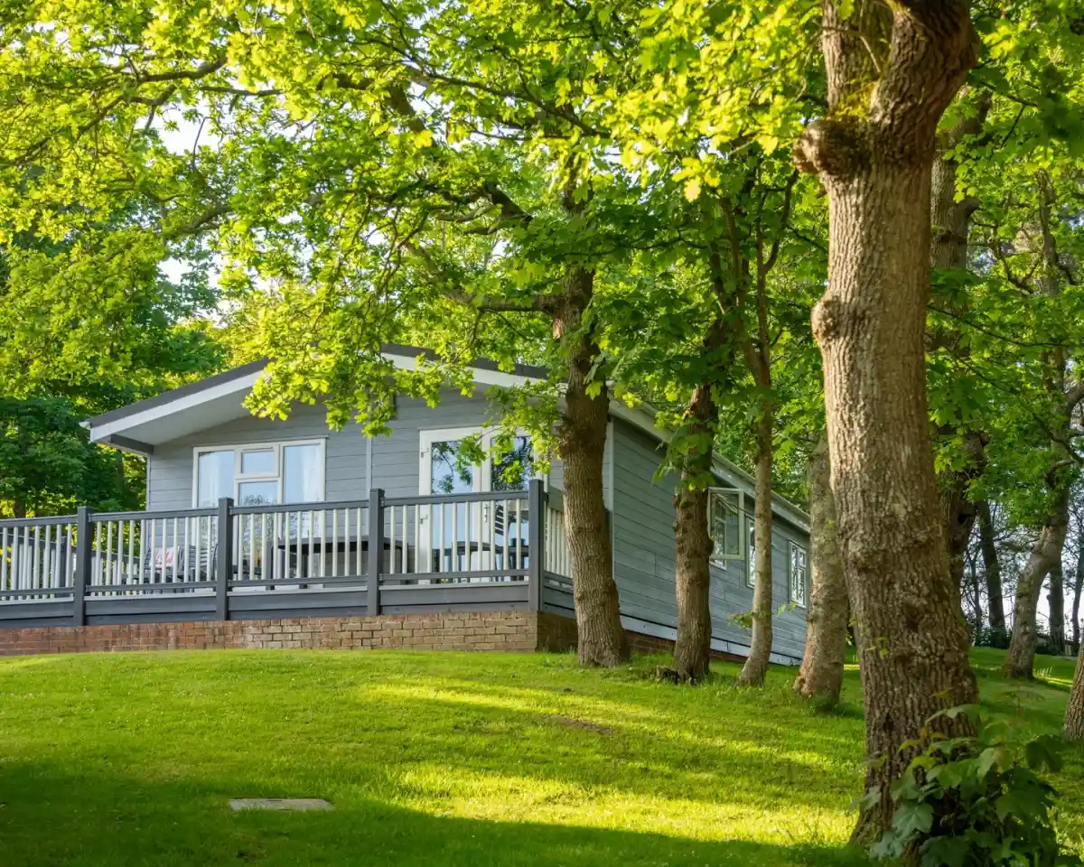 A modern gray cabin nestled among lush green trees, featuring a spacious deck that overlooks a gently sloping lawn. Sunlight filters through the leaves, creating a warm and inviting atmosphere.