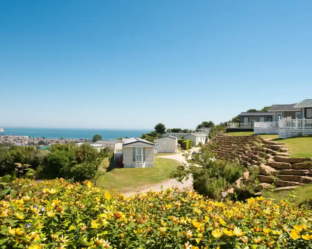 A scenic view of a coastal landscape featuring several holiday cabins set on a grassy hill. Bright yellow flowers in the foreground lead down to rocky steps, with a blue sea visible in the distance against a clear sky.
