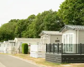 Row of holiday cabins along a paved path, surrounded by green trees. Each cabin features a porch and large windows, creating a cozy atmosphere.