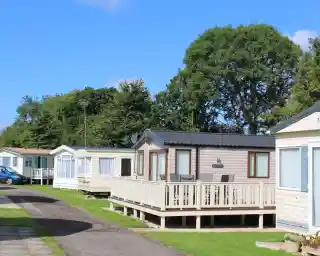 A row of vacation caravans with wooden decks, surrounded by green trees under a blue sky.