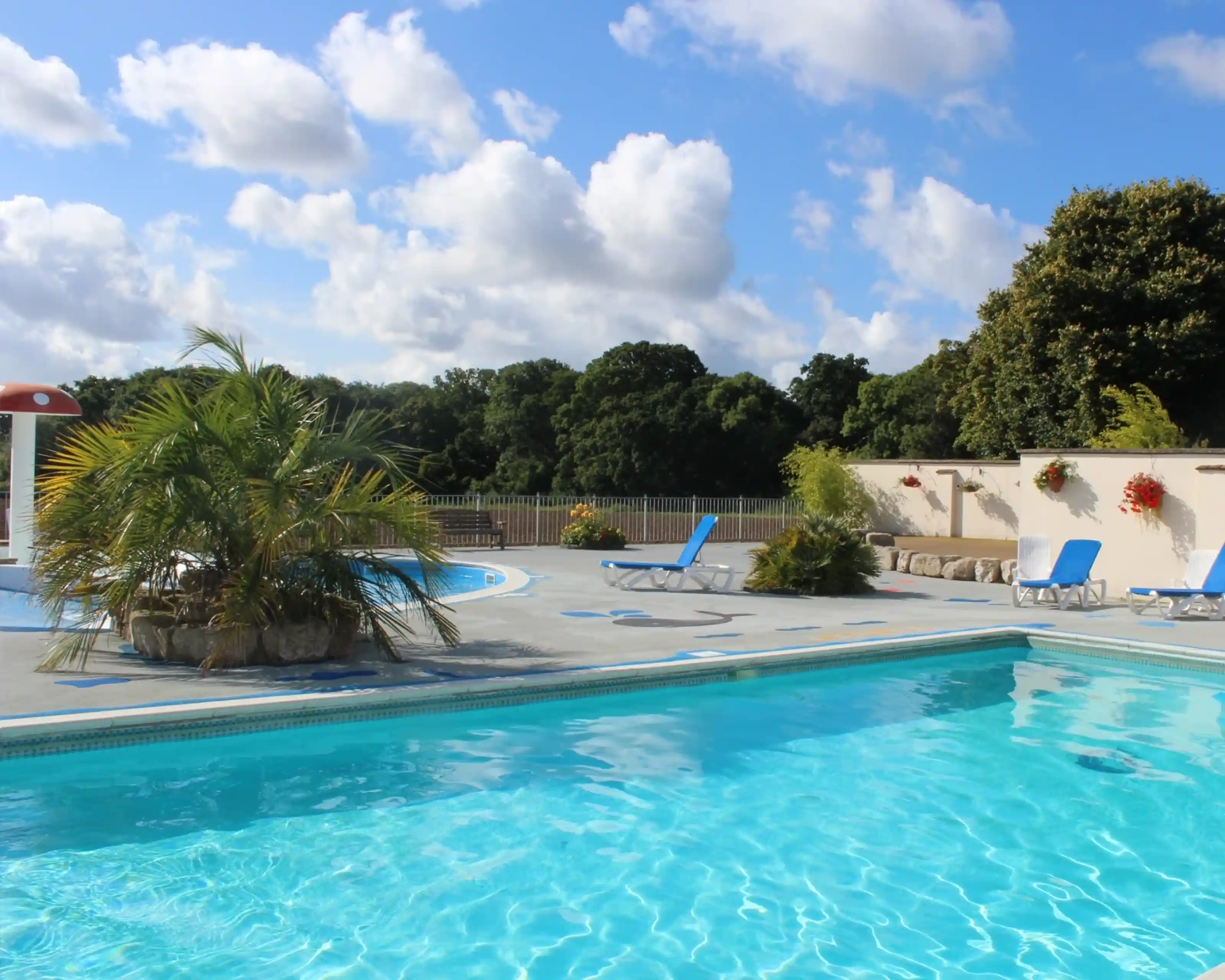 A sunny outdoor pool area with clear blue water, surrounded by lounge chairs and lush greenery. Puffy clouds float in a bright blue sky.