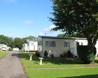A row of mobile homes along a grassy path, with a tree and two birdbaths in the foreground. The sky is clear and blue, suggesting a sunny day.