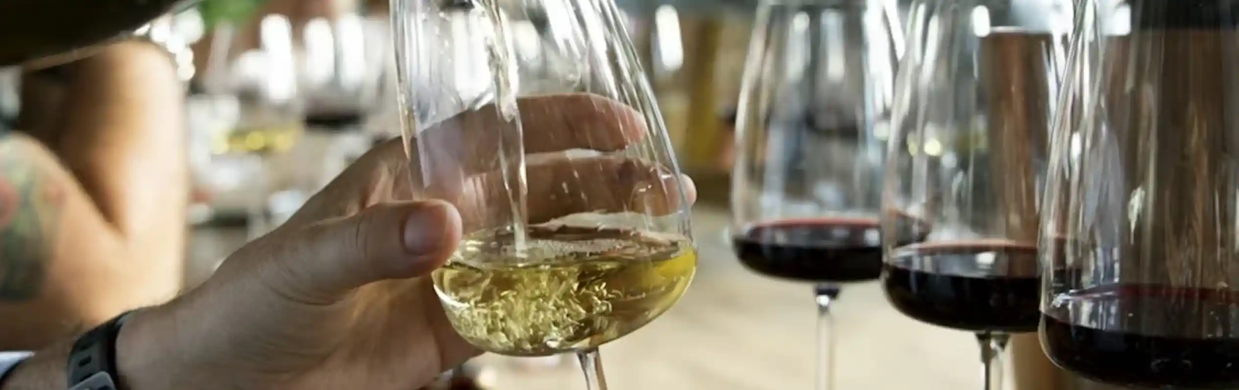 A hand pours white wine into a elegantly shaped glass, placed beside several glasses of red wine on a wooden table. In the background, a group of people enjoys a social gathering.