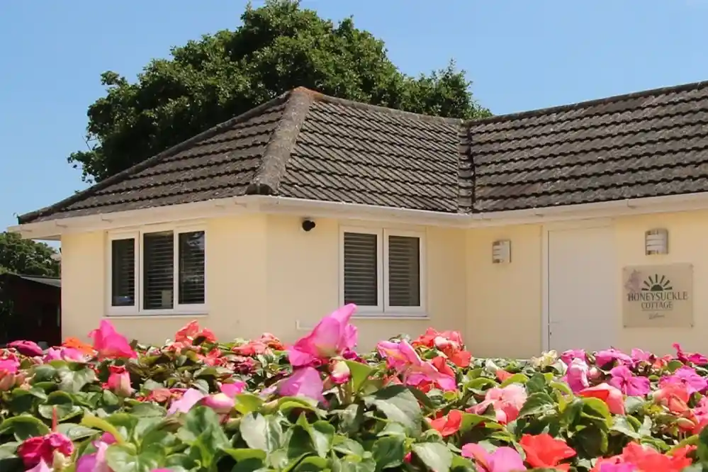 A cozy yellow cottage with a sloped roof sits amidst vibrant pink and green flowers. A large tree shades part of the building, which features white windows and a sign that reads "Honeysuckle Cottage." The sky is clear and blue.