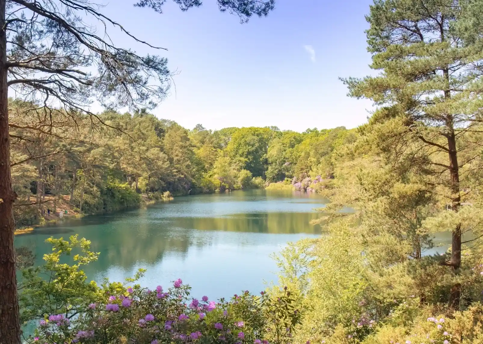 A serene landscape featuring a calm lake surrounded by lush green trees and colorful blooming flowers. The clear blue sky reflects on the water's surface, creating a picturesque natural scene.