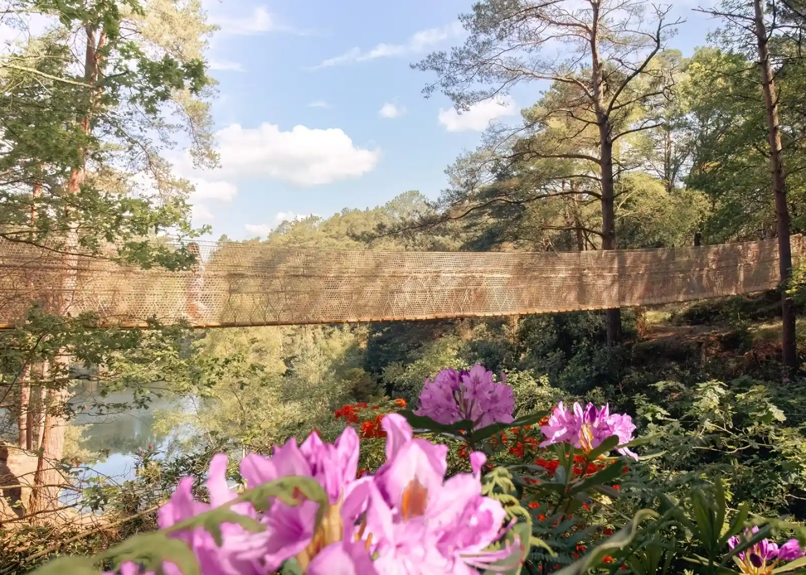 A suspension bridge stretches across a lush forested area, surrounded by trees and vibrant pink flowers in the foreground. The sky is partly cloudy, reflecting a serene atmosphere.