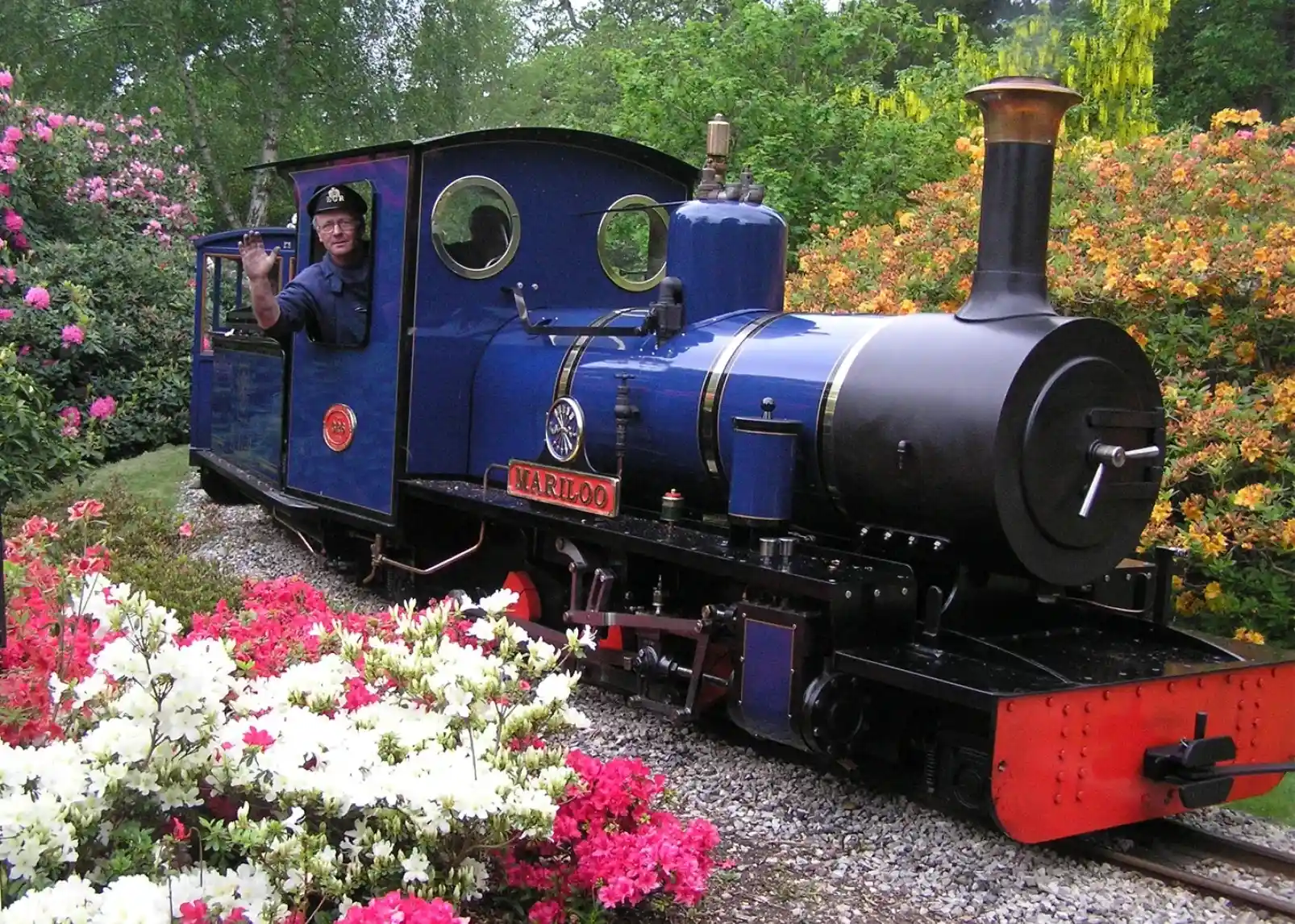 A serene garden scene with vibrant red and orange foliage surrounding a small stream. The water reflects the colorful leaves, while sunlight filters through the trees, creating a peaceful atmosphere.