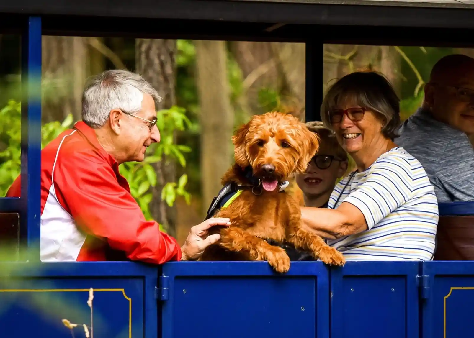 A serene garden scene with vibrant red and orange foliage surrounding a small stream. The water reflects the colorful leaves, while sunlight filters through the trees, creating a peaceful atmosphere.