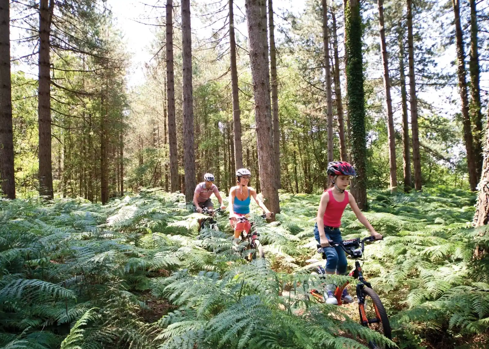 A man and woman ride bicycles along a wooded path, smiling at each other. Lush green foliage surrounds them, creating a serene outdoor atmosphere.