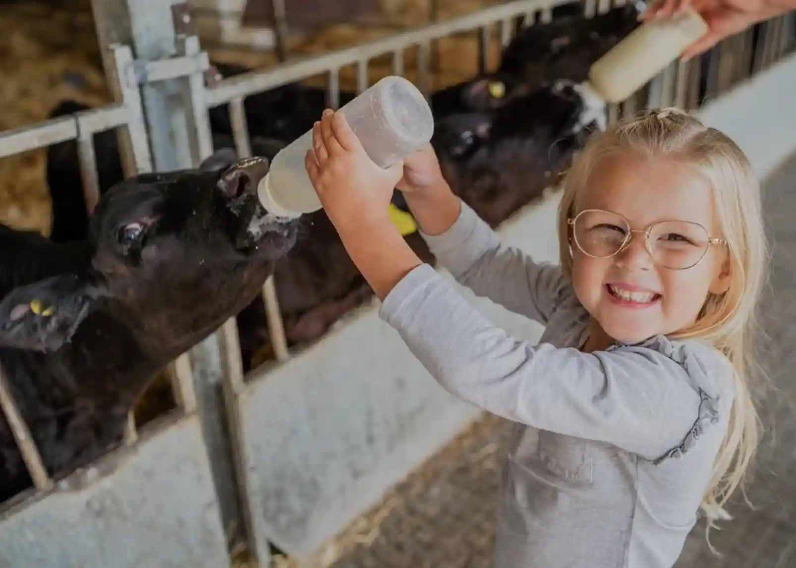 A smiling child with blonde hair holds a small, sleepy goat in her arms, both looking content. She is wearing a red sweatshirt, and a wooden fence is visible in the background.