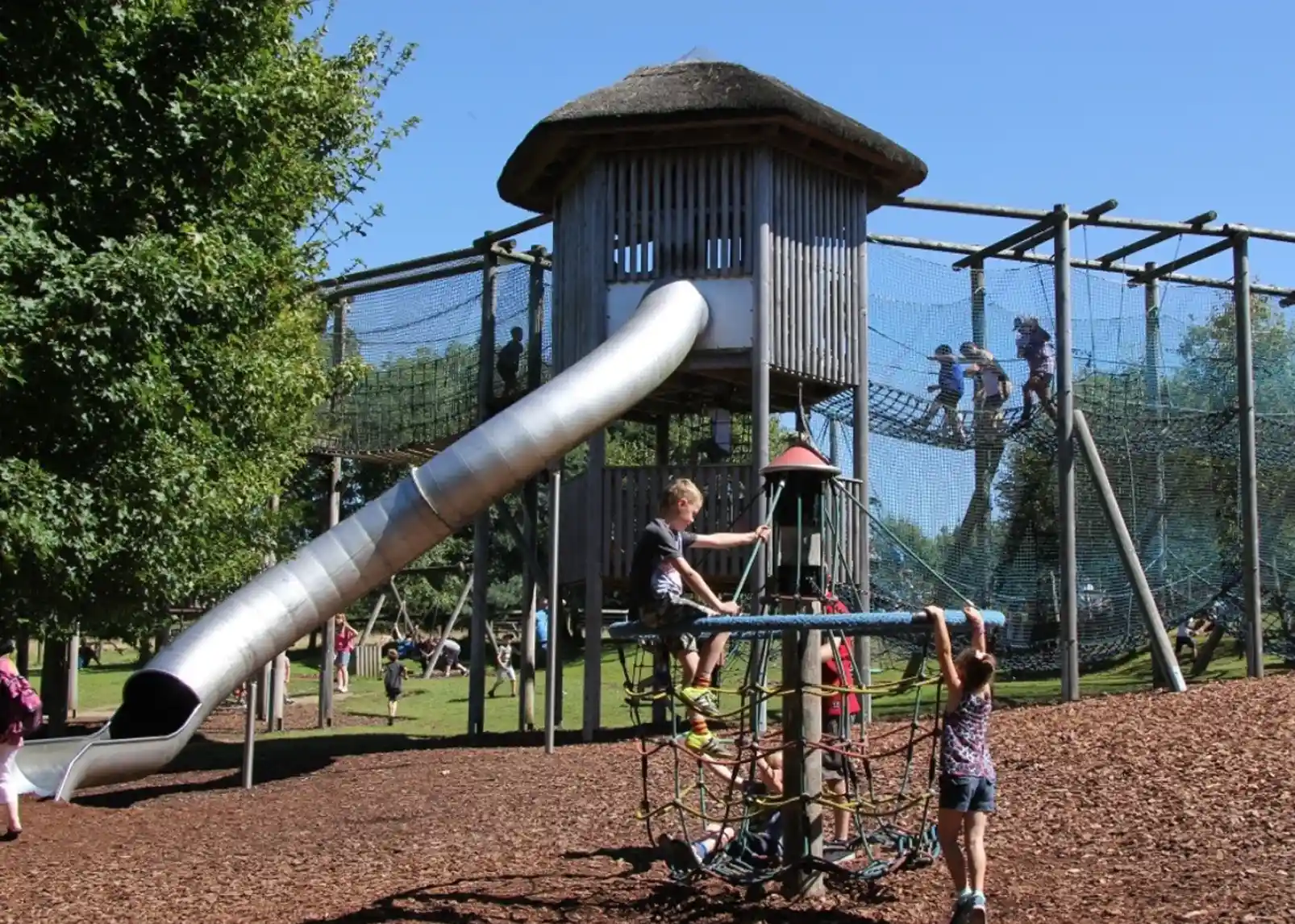Two chimpanzees play on climbing structures, one hanging from a horizontal bar while the other grips a lower pole. Lush greenery and a blue sky are visible in the background.