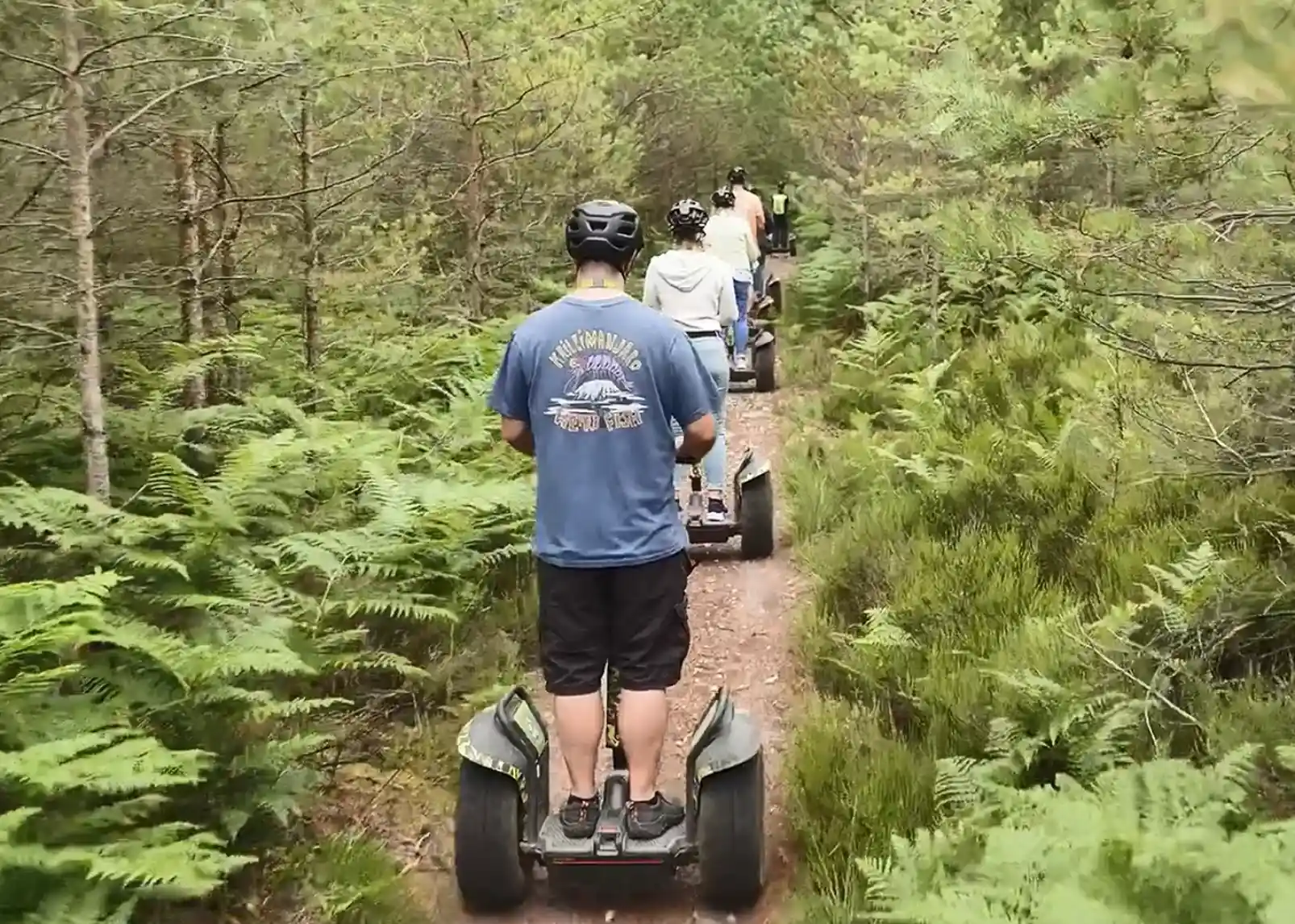 A wooden gazebo nestled among dense green trees in a forested area, surrounded by lush foliage and a gravel pathway.
