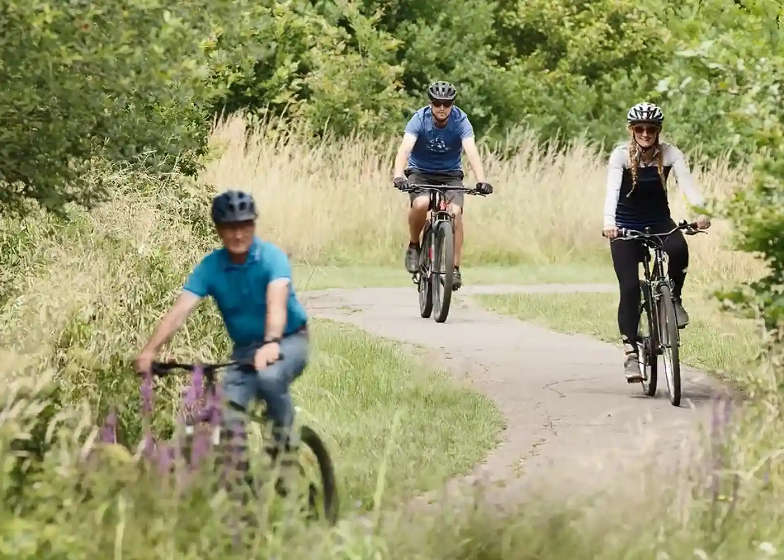 A wooden gazebo nestled among dense green trees in a forested area, surrounded by lush foliage and a gravel pathway.