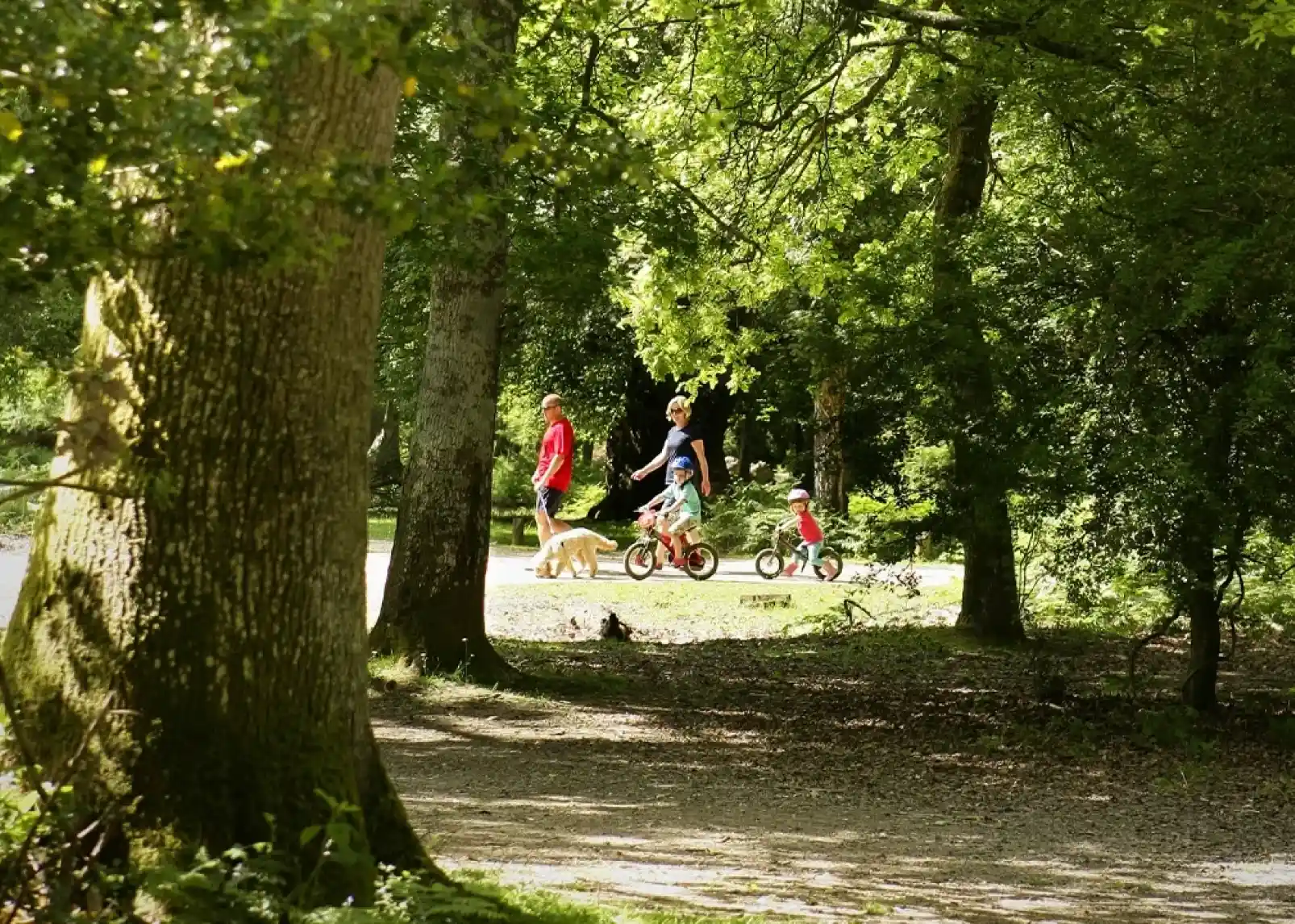 Riders on horseback navigate through a lush green landscape filled with a herd of horses, surrounded by trees in the background.