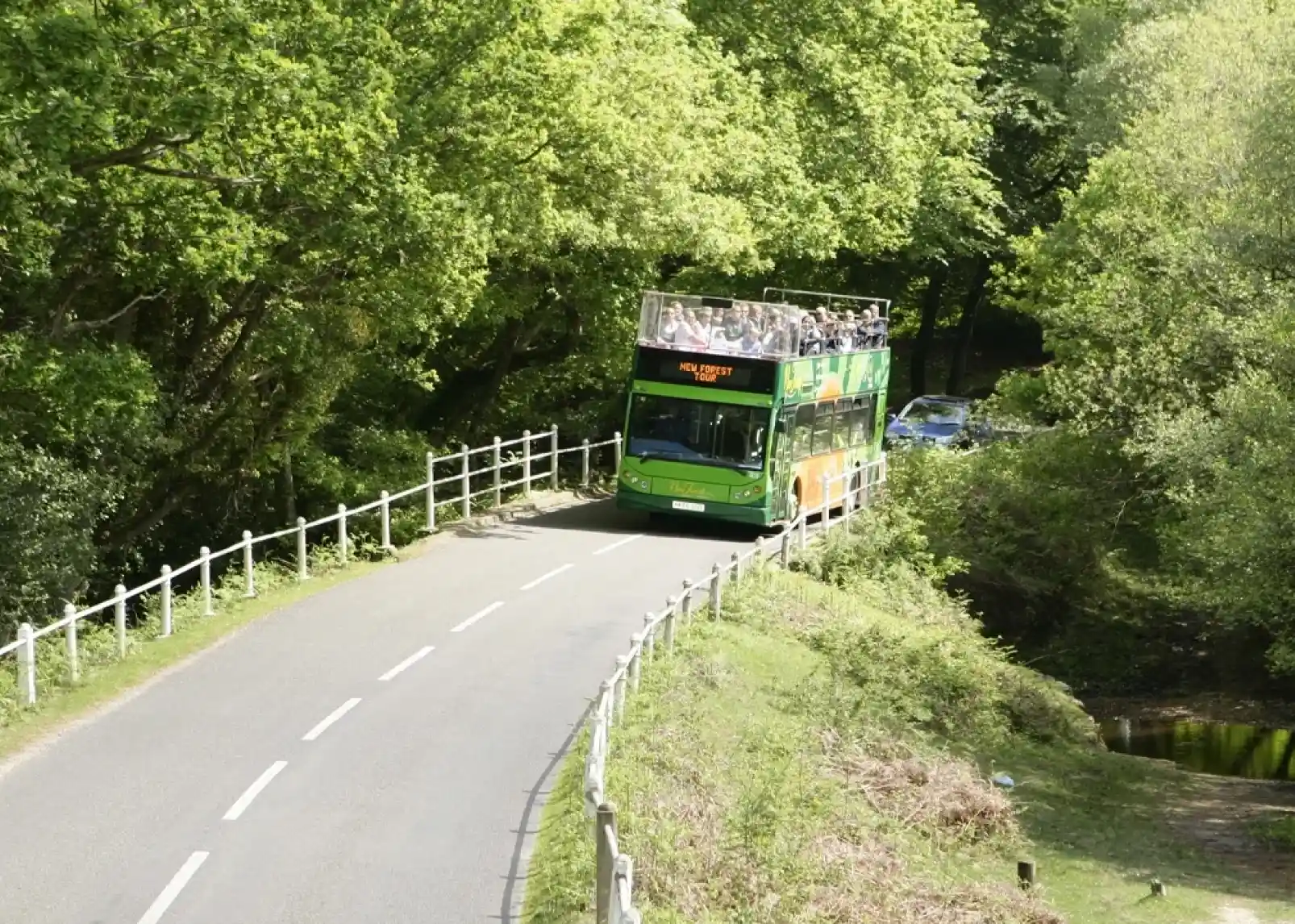 Riders on horseback navigate through a lush green landscape filled with a herd of horses, surrounded by trees in the background.